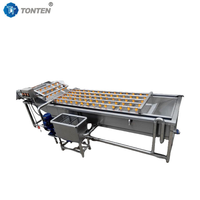 Full Automatic Bubble Food Cleaning Machine For Fruit And Vegetable Washing
