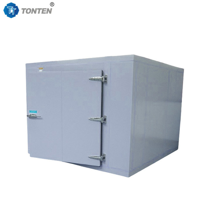 Refrigerator Fruit Seafood Blast Cold Room Freezer Storage 20ft 40ft
