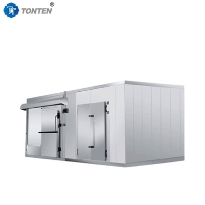 Refrigerator Fruit Seafood Blast Cold Room Freezer Storage 20ft 40ft