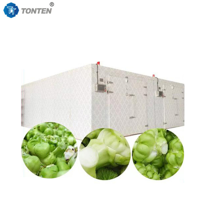 Tonten Efficient And Reliable Mud Dryer Machine For Mine Tailings Disposal