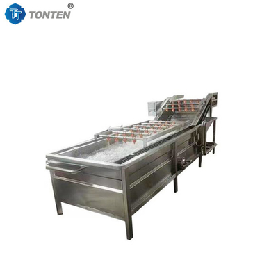Premium Food Washing Machine Ensuring Hygienic Food Preparation Without Fail