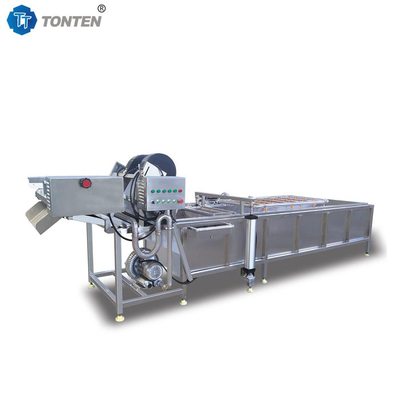 Premium Food Washing Machine Ensuring Hygienic Food Preparation Without Fail