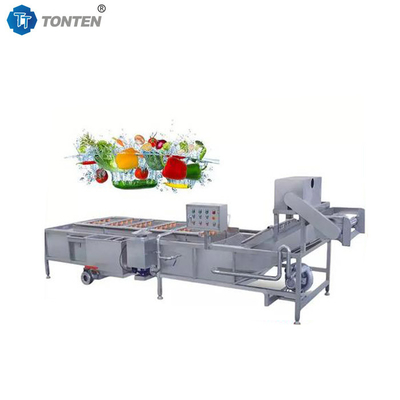 Fully Automatic Wave Type Food Cleaning Machine For Fruit And Vegetable Cleaning