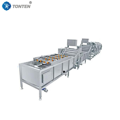 Efficient Mechanized Food Cleaning Machine Processing Of Vegetables And Fruits